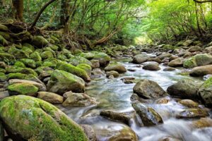 کلام وحی؛طنین صدای خدا