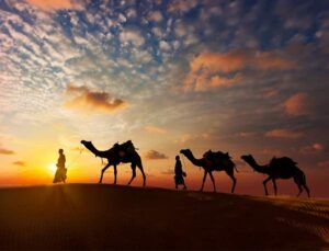 ای ساربان آهسته رو کآرام جانم میرود وآن دل که با خود داشتم با دلستانم میرود