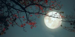 عجب حلوای قندی تو، امیر بیگزندی تو عجب ماه بلندی تو، که گردون را بگردانی