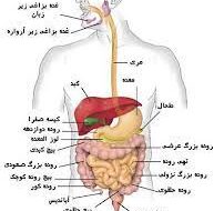 مصرف نابه جای برخی ملینها،باعث تنبلی روده می شود