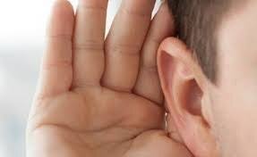 هر که در پی آگاهی از اسرار همسایه اش باشد،پرده اش دریده می شود. امام علی(ع)