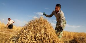 خدا دوست می دارد که بنده اش را در راه کسب حلال،در رنج و زحمت ببیند. پیامبر اسلام(ص)