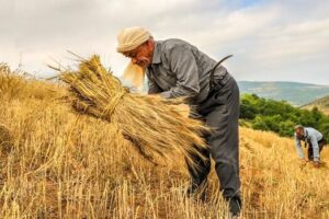 احادیث درباره کسب روزی حلال