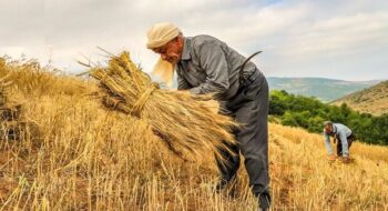 احادیث درباره کسب روزی حلال